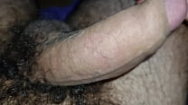 Peludo dando le itinho para voc&ecircs &ecircs