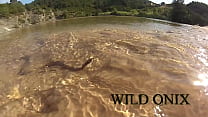 Wild Onix