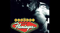 Enrique Bunbury - Flamingos (2002) Full Album