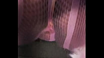 Fishnets All Pink Pussy and Ass