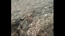 uhhh como me extraña una mamada en la playa...