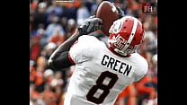 AJ Green