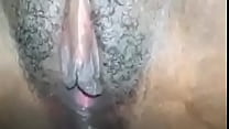 Cock