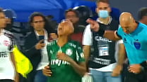 safadeza em campo