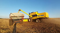 Colhendo soja com uma New Holland TC 5090