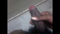my cock