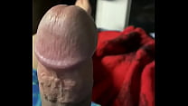 Quick look of my dick what y’all think?