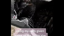 using my cats given name vs the name she chose for herself?