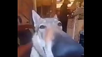 Hola xD