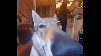 Hola xD