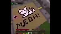 Minecraft memes