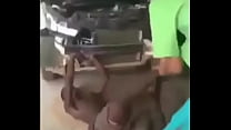Macaco