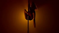 POLE DANCE STRIP TEASE DANÇA SENSUAL
