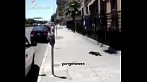 Negão fudendo a gravidade