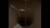 pissing is fun