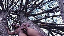 Fun times in a tree