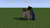 Minecraft Girl gets fucked by steve from behind