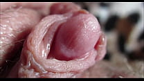 Clitoris orgasmo