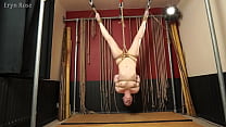 Upside Down Toy - Eryn Rose