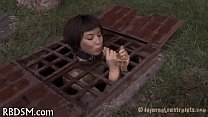 Free sadomasochism vidios
