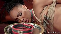 Small tits ebony fucked in threesome bondage