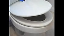 Toilet lid going down epic