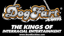 Gay boys love black huge cock hard 18