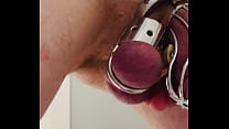Chastity cage and painful balls chastity