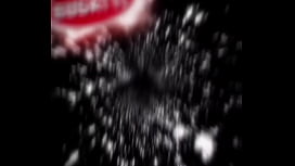 Ride Along: A Wild Ride in the Fast Lane