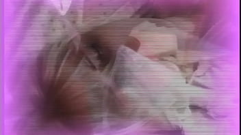 Cicciolina sucking and taking Rocco's big cock