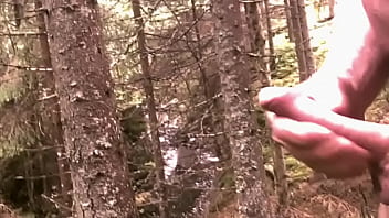 thumb skog   