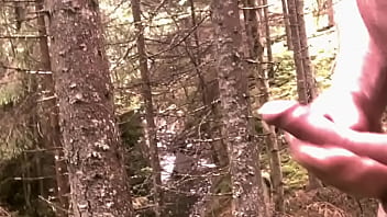 thumb skog   