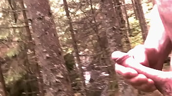 thumb skog   