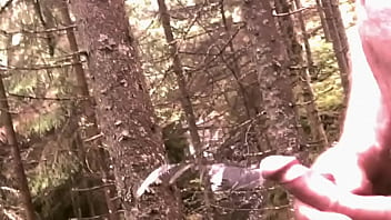 thumb skog   