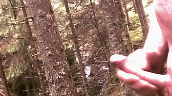 thumb skog   
