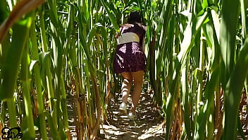 Horny BLOWJOB in a corn field