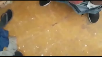 thumb semental torreo  n coahuila m 