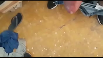 thumb semental torreo  n coahuila m 