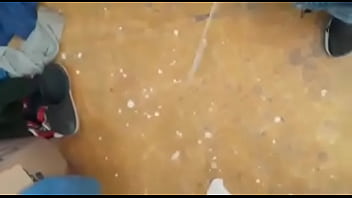 thumb semental torreo  n coahuila m 