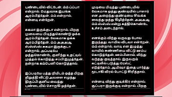 Tamil Sex Story - Auditor Aiysha's Sex Experiences part 5