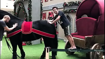 Lula molusco bonitão ajuda passivo a sentar no cavalo negão