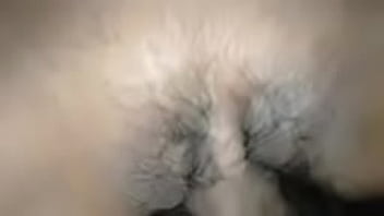 Fucking the pussy of a big girl with a beautiful clit, very cock-stimulating, a pussy that is worth licking, fucking her clit is extremely fun, fucking like this, she has to beg for a good pussy life to fuck her clit.