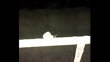 Foda de Besouro bem dada