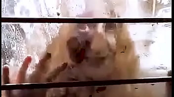 AGaw I captured a zombie to fuck her 
