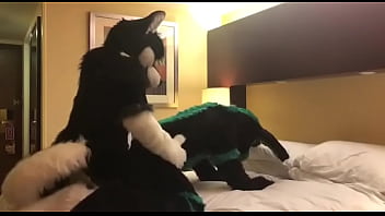 Eclipse Husky and Zeb