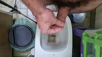 Peludo dando uma geral na mata