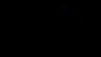 Vidéo De Vérification