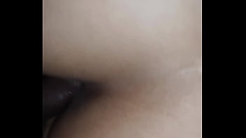 PERRITO TRES Y CUATRO