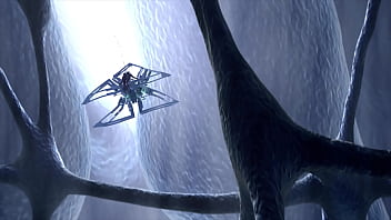 ALICE x insects
