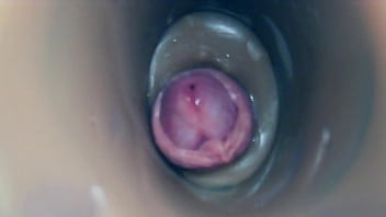 thumb internal camera  fuck in pussy big pulsating c big pulsating c big pulsating cu